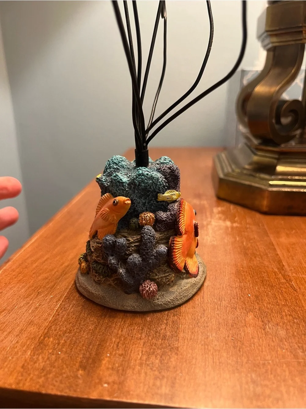 Fish Photo Holder